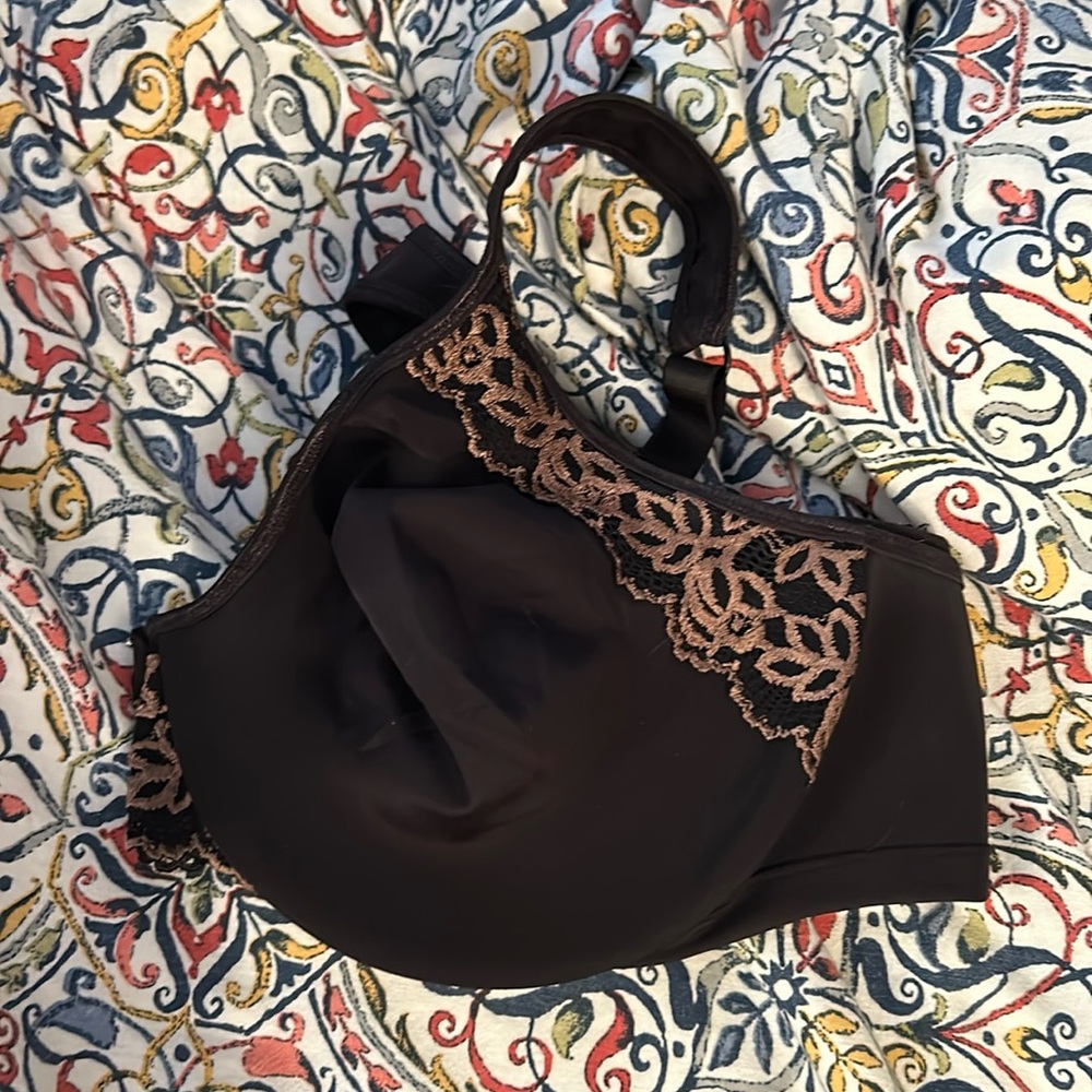 Wonderbra D44 NWOT bra. Black with brown lace trim